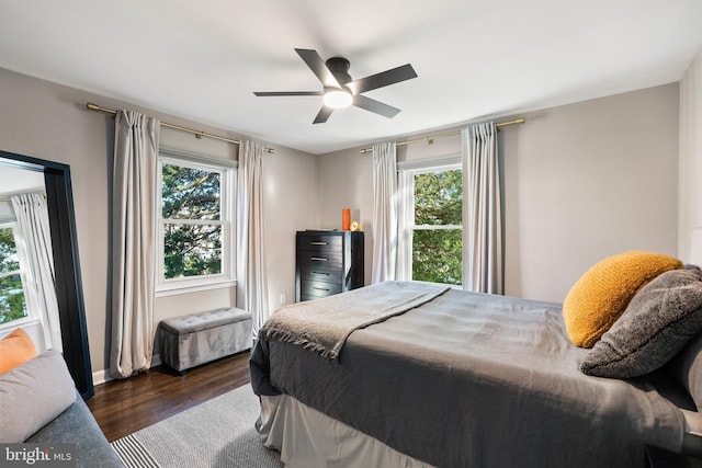 bedroom featuring baseboards, dark wood finished floors, ceiling fan, and multiple windows