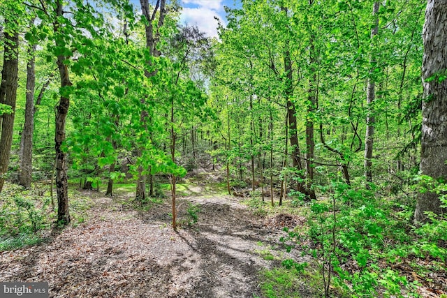view of landscape featuring a forest view