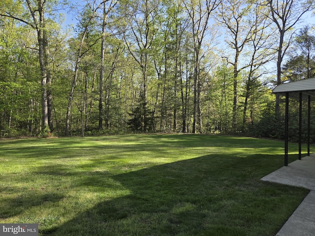 view of yard with a wooded view