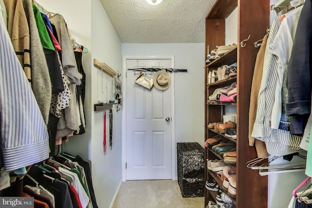 spacious closet with carpet floors