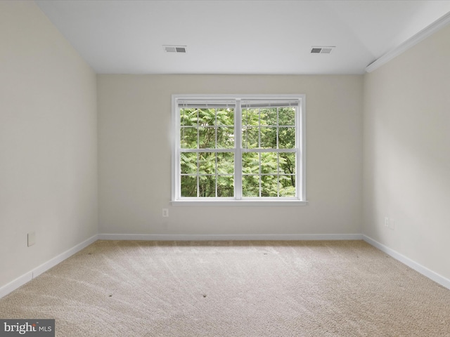 109 Donelson Loop, Stafford, VA 22554 - empty room with carpet floors and baseboards