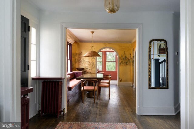 dining room with baseboards, radiator, crown molding, and dark wood finished floors