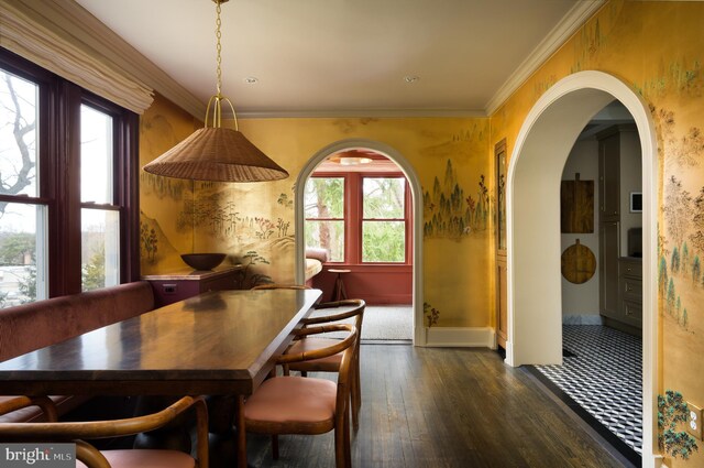 dining room with baseboards, arched walkways, dark wood-style floors, and a wealth of natural light