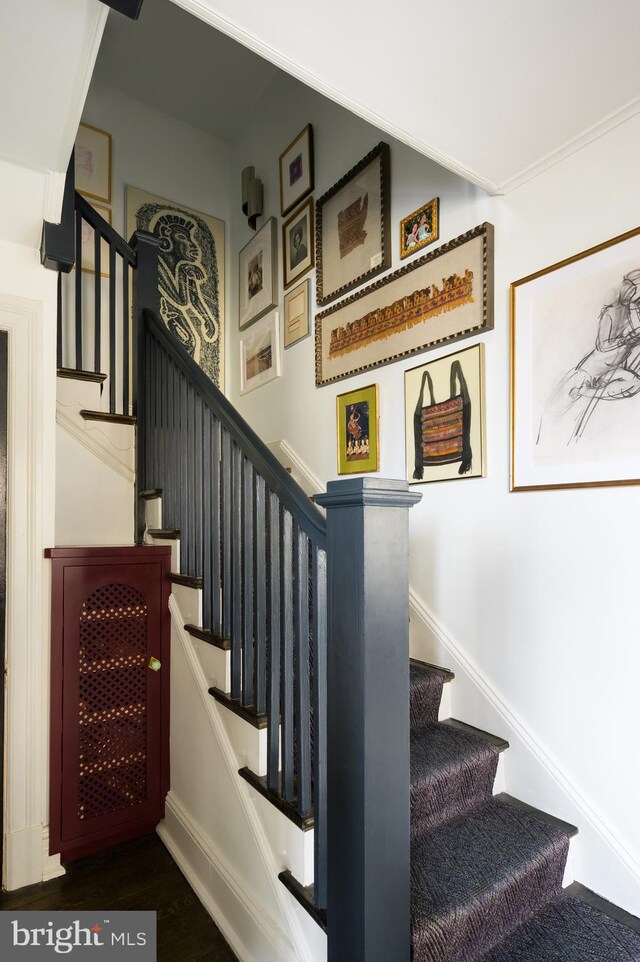 stairs featuring wood finished floors
