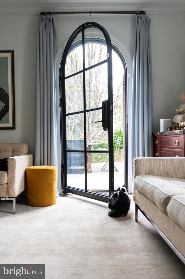 carpeted bedroom featuring ornamental molding