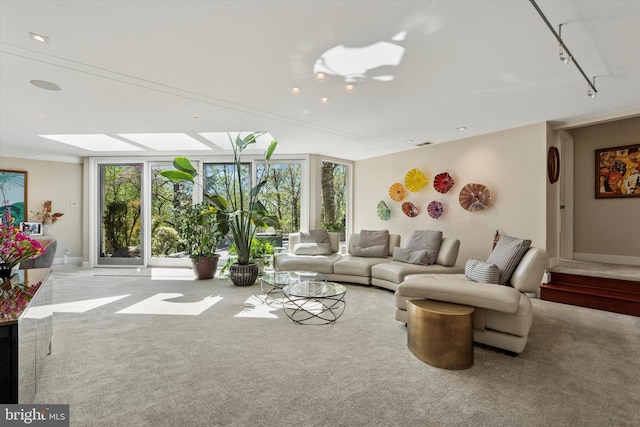 carpeted living area featuring plenty of natural light, baseboards, and a skylight