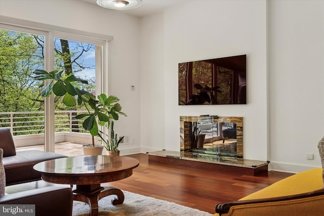 living area with baseboards, wood finished floors, and a premium fireplace