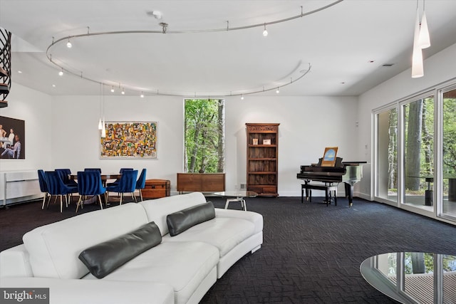living area with track lighting and dark colored carpet