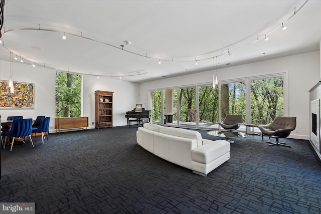 living area featuring baseboards, rail lighting, dark carpet, and a premium fireplace