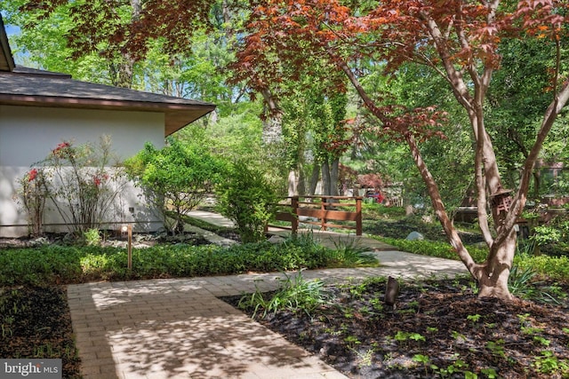 view of yard with a patio