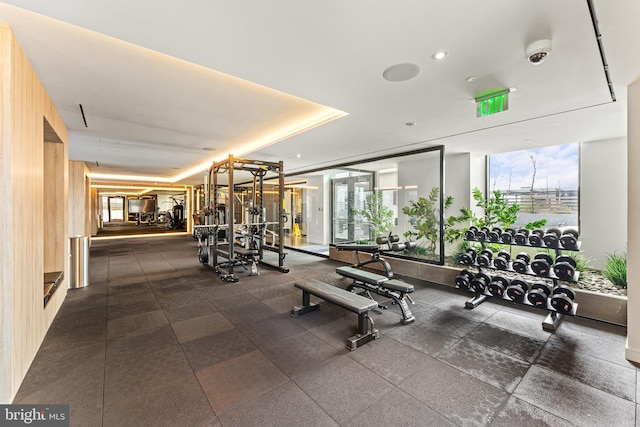 1650 Silver Hill Dr Unit 1706, Mclean, VA 22102 - exercise room with recessed lighting