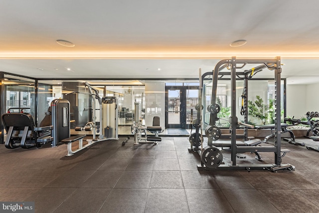 1650 Silver Hill Dr Unit 1706, Mclean, VA 22102 - exercise room with floor to ceiling windows
