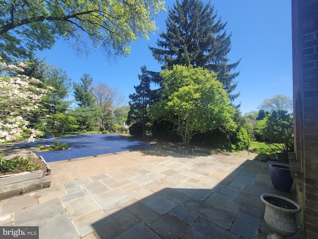 5895 Tibby Rd, Bensalem, PA 19020 - view of pool with a patio area