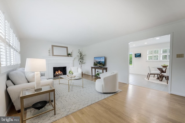 817 Golden Arrow St, Great Falls, VA 22066 - living room featuring a fireplace with flush hearth, wood finished floors, and baseboards
