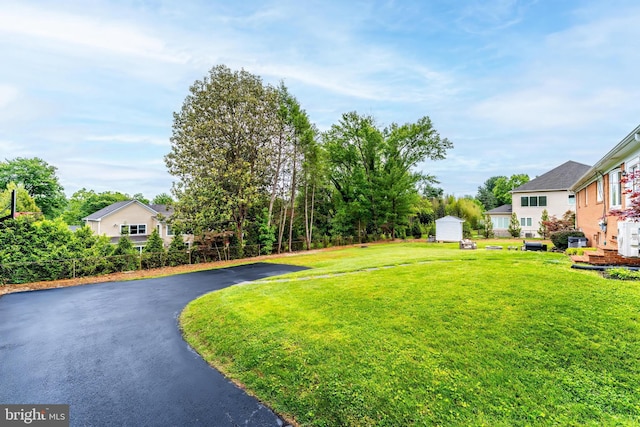 817 Golden Arrow St, Great Falls, VA 22066 - view of green lawn with driveway