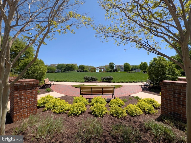 view of home's community with a lawn