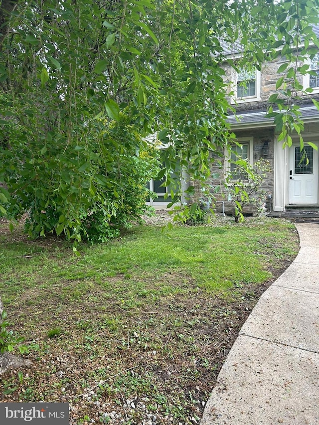 547 Baeder Rd, Jenkintown, PA 19046 - view of grassy yard