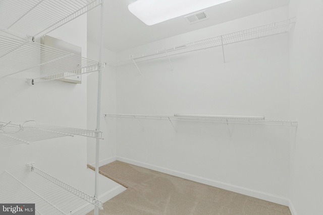 spacious closet featuring visible vents and carpet