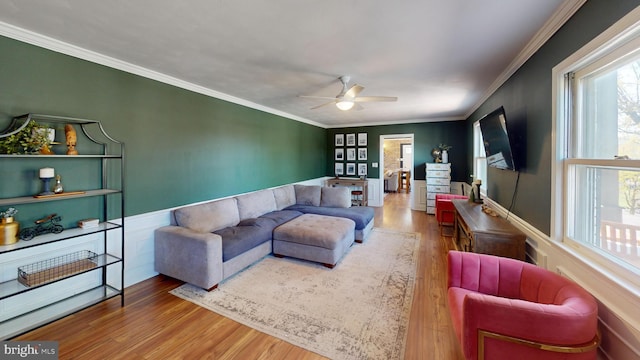 living area featuring ornamental molding, ceiling fan, wood finished floors, and a wainscoted wall
