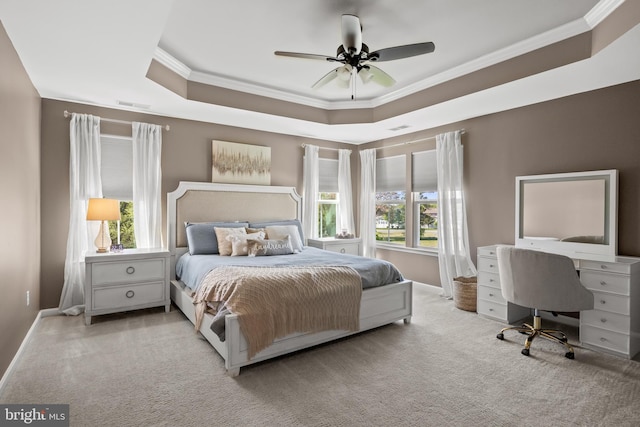 carpeted bedroom featuring crown molding, baseboards, multiple windows, and a raised ceiling