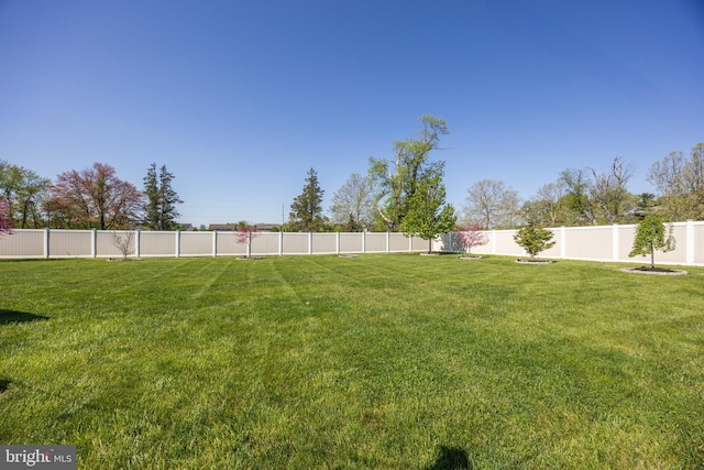 view of yard featuring a fenced backyard