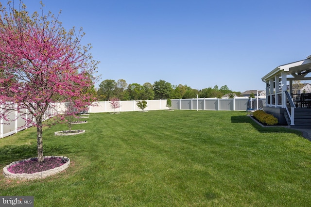 view of yard featuring a fenced backyard