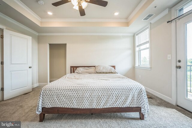 22528 Wilson View Ter, Ashburn, VA 20148 - bedroom with crown molding, carpet, and a raised ceiling