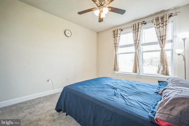 22528 Wilson View Ter, Ashburn, VA 20148 - bedroom with carpet floors, a ceiling fan, and baseboards
