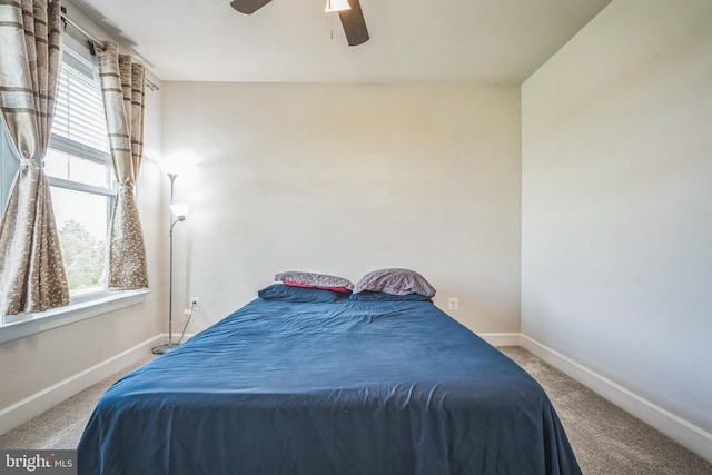 22528 Wilson View Ter, Ashburn, VA 20148 - bedroom with baseboards, ceiling fan, and carpet floors