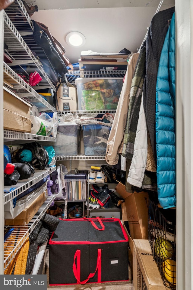 view of spacious closet