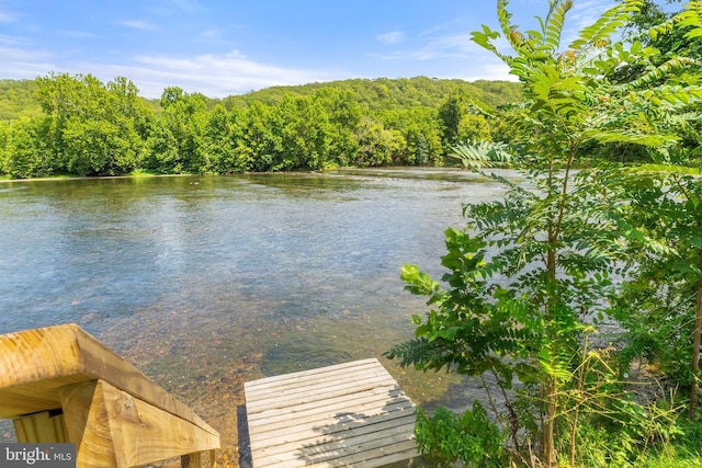 view of dock featuring a water view and a view of trees
