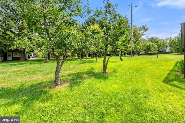 view of yard