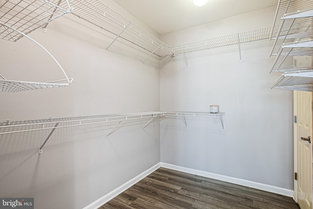 8004 Ink Berry Ct Unit D-3, Pasadena, MD 21122 - walk in closet featuring dark wood finished floors