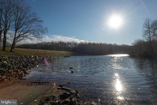 water view featuring a view of trees