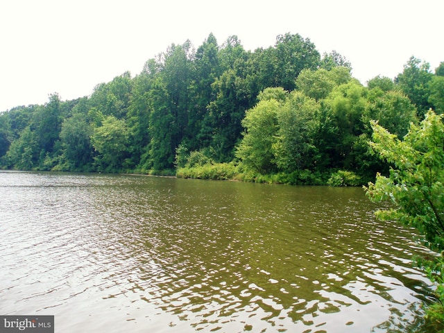 view of water feature with a view of trees