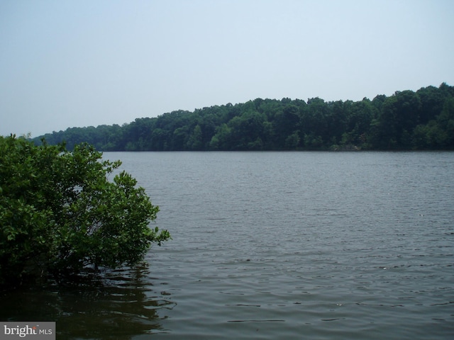 water view featuring a forest view