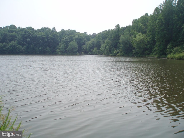 property view of water with a view of trees