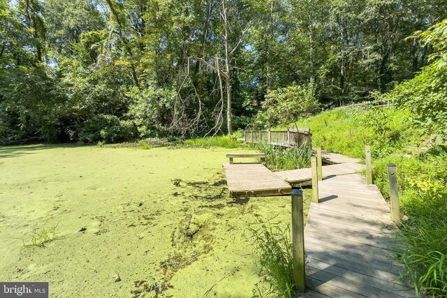 surrounding community with a dock