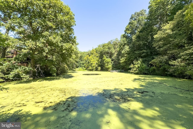 view of landscape featuring a wooded view