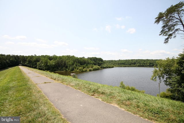 water view with a view of trees