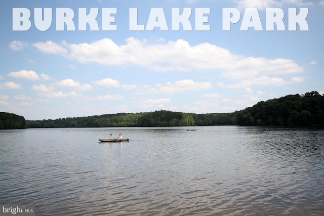 water view featuring a wooded view