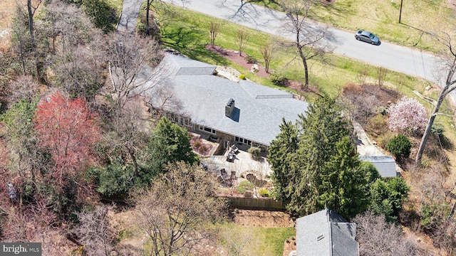 drone / aerial view