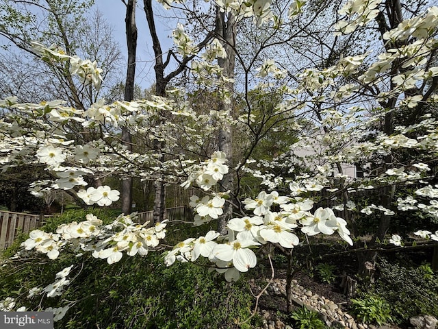 9116 John Way, Fairfax Station, VA 22039 - view of nature