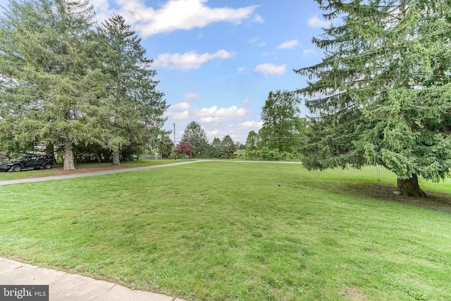 318 Longwood Rd, Kennett Square, PA 19348 - view of green lawn
