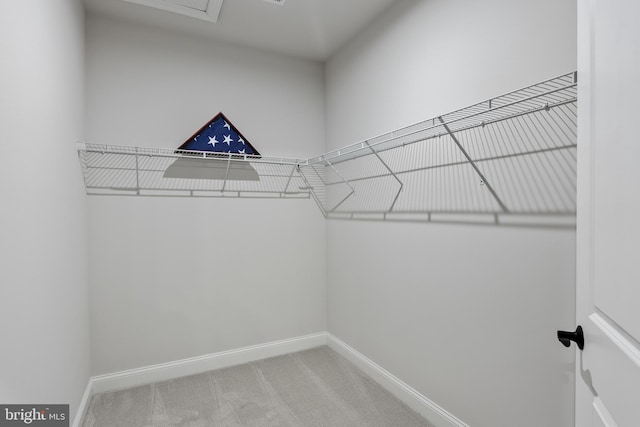 spacious closet featuring carpet flooring