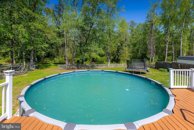 pool featuring a yard, a deck, a fenced backyard, and a trampoline