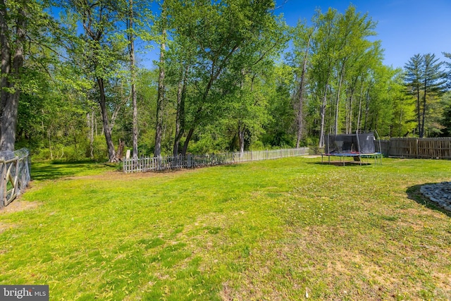 view of yard featuring a fenced backyard and a trampoline