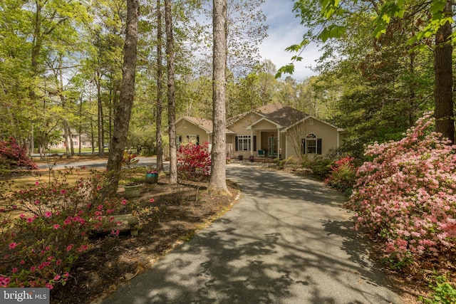 7645 E Longfield Dr, Hebron, MD 21830 - single story home with driveway