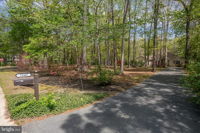 7645 E Longfield Dr, Hebron, MD 21830 - view of street with driveway
