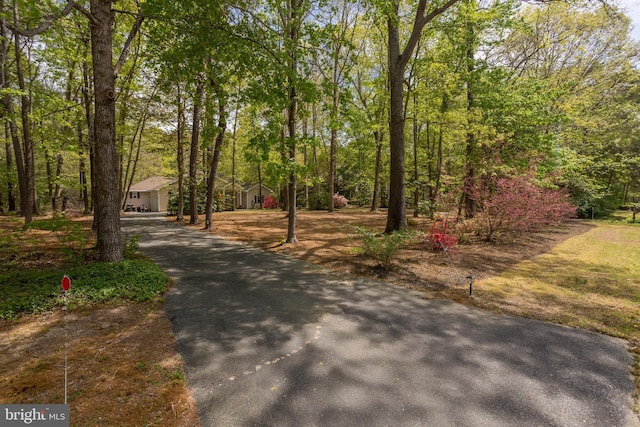 7645 E Longfield Dr, Hebron, MD 21830 - view of front facade featuring aphalt driveway